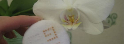 И снова Givenchy