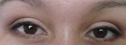 Тени Clarins Palette Quatuor Colour Quartet Les boises- Earth 20