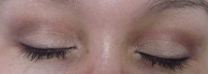 Тени Clarins Palette Quatuor Colour Quartet Les boises- Earth 20