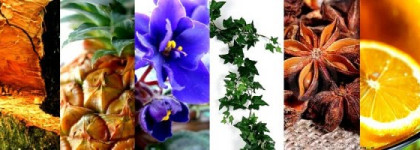 Моя маленькая Франция