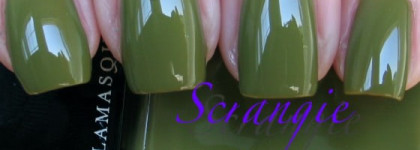 Классификация текстур лаков для ногтей