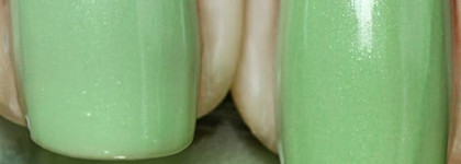 Цвета-дубликаты (на примере некоторых лаков Chanel)