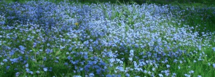 Сине-голубая составляющая моей коллекции лаков