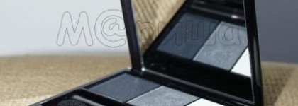 Потрясающее цветовое трио от Shiseido Luminizing Satin Eye Color Trio (оттенок GY901)