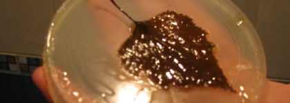 Мой уход за кожей лица и тела: новенькое