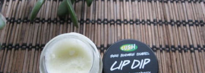 Бальзамы и скрабы для губ: все, что нажито