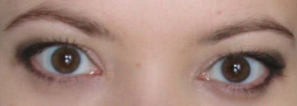 Тени для век 5-Couleurs Eyeshadow: № 529 Endless Shine (Iridescent) из рождественской коллекции Dior 2010-2011