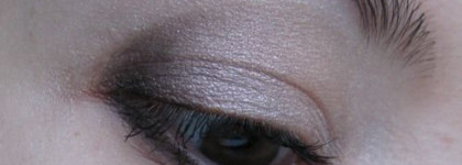Тени для век 5-Couleurs Eyeshadow: № 529 Endless Shine (Iridescent) из рождественской коллекции Dior 2010-2011