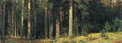 Givenchy квартет теней для век Le Prisme Yeux Quatuor Khaki Egerie №74