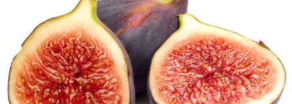 Estee Lauder Pure Color Gloss Stick – Блеск-помада. Оттенок 14 Wild plum