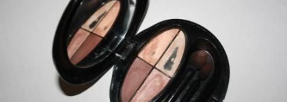 Лучшие тени в моей коллекции - Shiseido Silky Eye Shadow Quad Ombres Q10