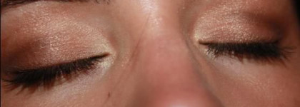 Лучшие тени в моей коллекции - Shiseido Silky Eye Shadow Quad Ombres Q10