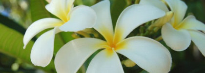 Вкусняшки для души и тела