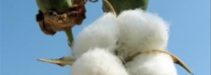 Вкусняшки для души и тела