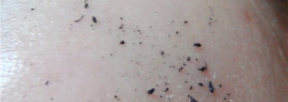 Подводка MAC Superslick Liquid Eyeliner, оттенки On the hunt и Signature blue