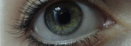 Тушь для ресниц Shiseido Majolica Majorca Lash King Mascara