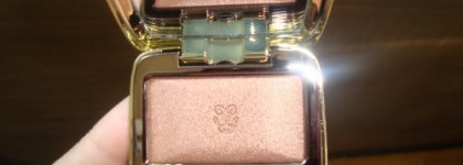 Мой рыжий урожай 2010