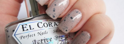 El Corazon 423/91 "Eggs of wild birds"