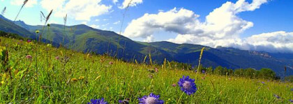 La Chasse aux Papillons L Artisan Parfumeur - мой  зимний островок лета