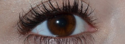 MAC Studio Fix Lash - новая фаворитка