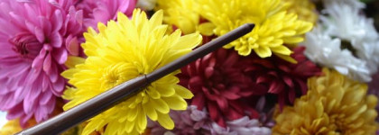 Мой пятый - Rimmel Exaggerate Waterproof Eye definer (211) - Sable