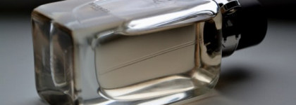 Hermes Kelly Caleche