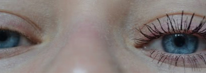 Le Volume de Chanel Mascara 30 Prune