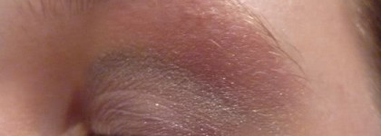 Мои тени-невидимки Shiseido Quad Q1