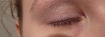 Мои тени-невидимки Shiseido Quad Q1