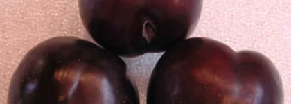 Ностальгия по осени 2009 или лаки из осенних коллекций Noirs Obscurs de Chanel  № 437 Forbidden и Jazzclub Dior № 981 Black Plum