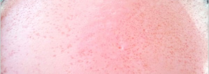 Скрабы Organic shoр - Малиновые сливки, Кенийский манго, Медовая корица, Бразильский кофе. Лучший и любимый - Восточный имбирь