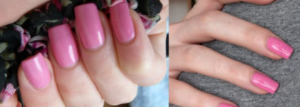 Мои самые любимые : Pupa и  Fennel