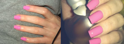 Мои самые любимые : Pupa и  Fennel