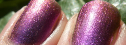 Жучок в банке или Aurelia Professional #405