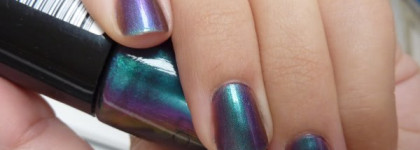 Жучок в банке или Aurelia Professional #405