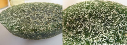 Экстремальный набор для тела Aphrodite Offer set body contouring от FreshLine