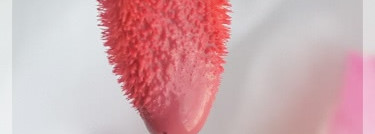 Флюид для губ   Dior Addict Fluid Stick Fabulous Wear High Impact Glossy Colour Lip Hybrid #389 kiss me