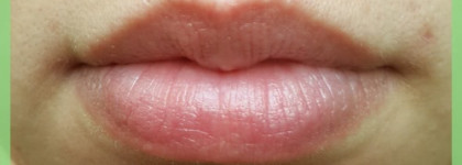 Melvita apicosma repairing lip balm - Защитный бальзам для губ Апикосма