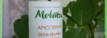 Melvita apicosma repairing lip balm - Защитный бальзам для губ Апикосма