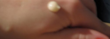 Korres Materia Herba Moisturising Cream normal to dry skin