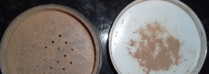 Моё знакомство с Estee Lauder Nutritious Vita-Mineral Loose Powder Foundation SPF 15