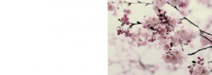 Лаковый блеск для губ Couleurs Fraiches от Vivienne Sabo