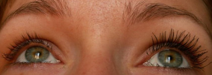 Про тушь Dior show Iconic