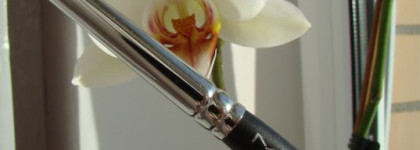 Кисти для макияжа Mac