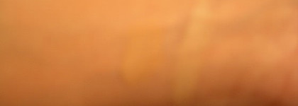 Мои тональники, пудры, румяна, корректоры