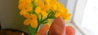 Увлажняющая губная помада "Соблазн"  от Avon в оттенке Nude Perfection