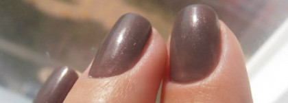 Осенний любимчик Golden Rose №147