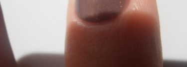 Осенний любимчик Golden Rose №147