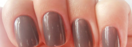 Осенний любимчик Golden Rose №147