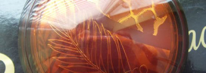 Artdeco Safari Bronzing Powder - красивая штучка